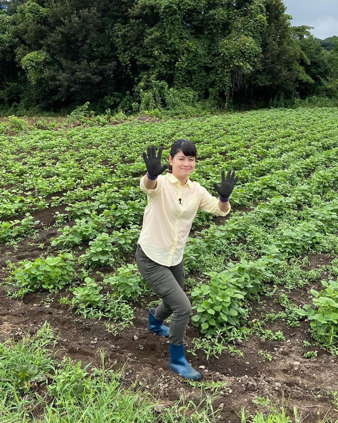 能登瑶子さんのインスタグラム写真 - (能登瑶子Instagram)「秋の味覚ぶどう🍇✨  明日14日(月)夜9時からのJAみどりの風は甘くて美味しいぶどうと珍しい白小豆をご紹介します( ^ω^ )  最近の夜は少し気温も下がって過ごしやすくなってきましたね。 秋も目の前！秋といえば食欲の秋！！ 番組での私の食べっぷりに注目してみてください(^^)  また、明日昼11時30分からのひるポチッ！では秋のくだものについてのメッセージをお待ちしています( ^ω^ ) 皆さんの好きな秋のくだもの教えて下さい( ´ ▽ ` ) Fax  027-232-8436 メールアドレス　hirupochi@gtv.co.jp お待ちしてまーす（＾∇＾）✨  #JA#みどりの風#秋#くだもの#ぶどう#白小豆#ひるポチッ#メッセージ#好きな#くだもの#gtv #アナウンサー」9月13日 18時42分 - noto.1281