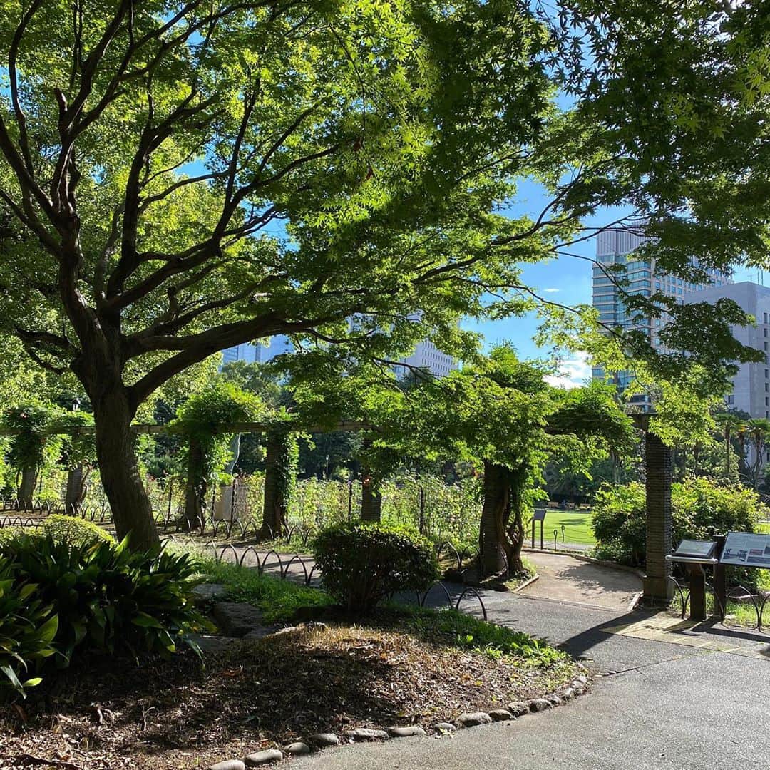 畑亜貴さんのインスタグラム写真 - (畑亜貴Instagram)「ホテル滞在中は天気が良かったので散歩が楽しかったです。日比谷公園内をこんなにじっくり見たのは初めての都民。」9月13日 18時54分 - akihata.jp
