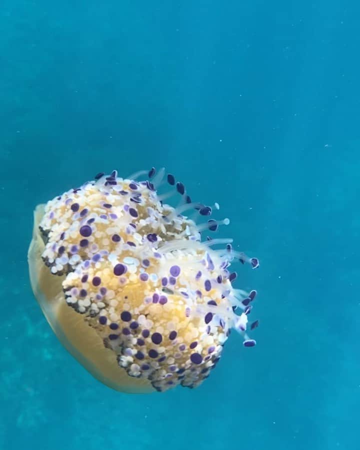 リリー・コールのインスタグラム：「Jelly jelly, I love water.」