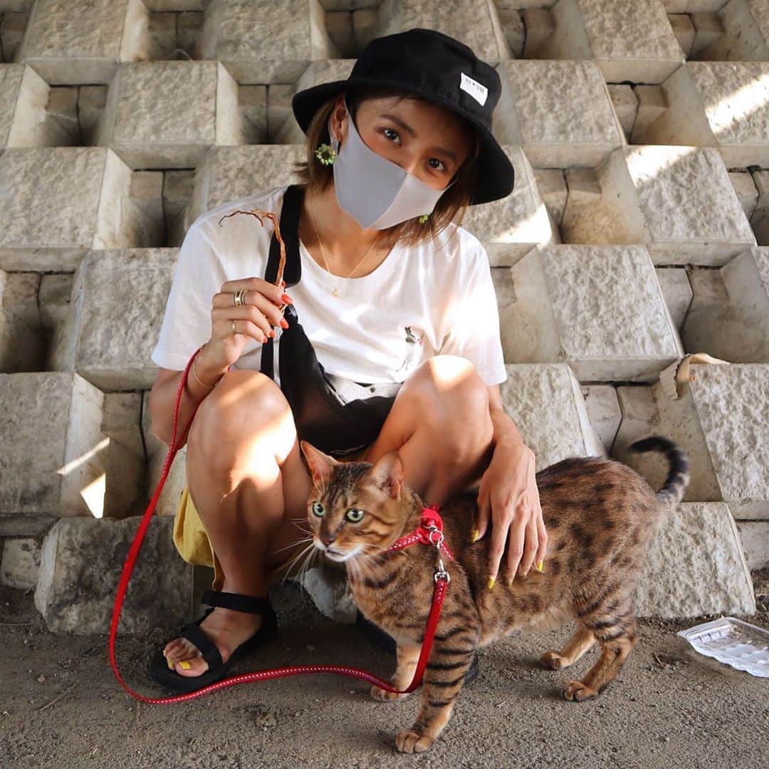 佐野千晃のインスタグラム：「YouTubeにあげたこたさんとのお散歩動画可愛い〜って自分でめっちゃ見返してる笑﻿ ﻿ お外に出たがるから今日晴れてたらお散歩連れて行ってあげたのに、雨なので断念_(:3 ⌒ﾞ)_﻿ ﻿ この前洗濯物干そうと思って窓開けたらしゅんってでてっちゃってものすごい焦った_(:3 ⌒ﾞ)_﻿ ﻿ いつもなら出てもいいー？！って感じであたしの顔見てニャーニャーしてるだけなのに_(:3 ⌒ﾞ)_﻿ ﻿ チャオチュールだよー！！って差し出したら突進してくるぐらい早く戻ってきて、無事だったけど_(:3 ⌒ﾞ)_笑﻿ ﻿ #cat #catstgram #catlovers #nyamnyam #nya #nyaaa #こたちゅくん #にゃー #にゃんこ #猫 #ベンガル #ベンガル猫 #猫好きと繋がりたい #猫のいる生活」