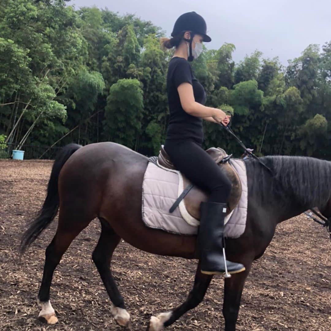 吉原珠央さんのインスタグラム写真 - (吉原珠央Instagram)「乗馬♫  何年ぶりだろう？？ 大きめポニーに乗らせて頂きました😊  少しだけ速歩したとき、最初はとても速く感じたのですが、両手を離したら、馬と一緒に走っている感覚たまらなく爽快でした✨  触れると優しさが伝わってくるような♡  　 馬と仲良くなれますように！  #馬 #ポニー #乗馬 #週末 #途中から雨」9月13日 19時30分 - tamaoyoshihara