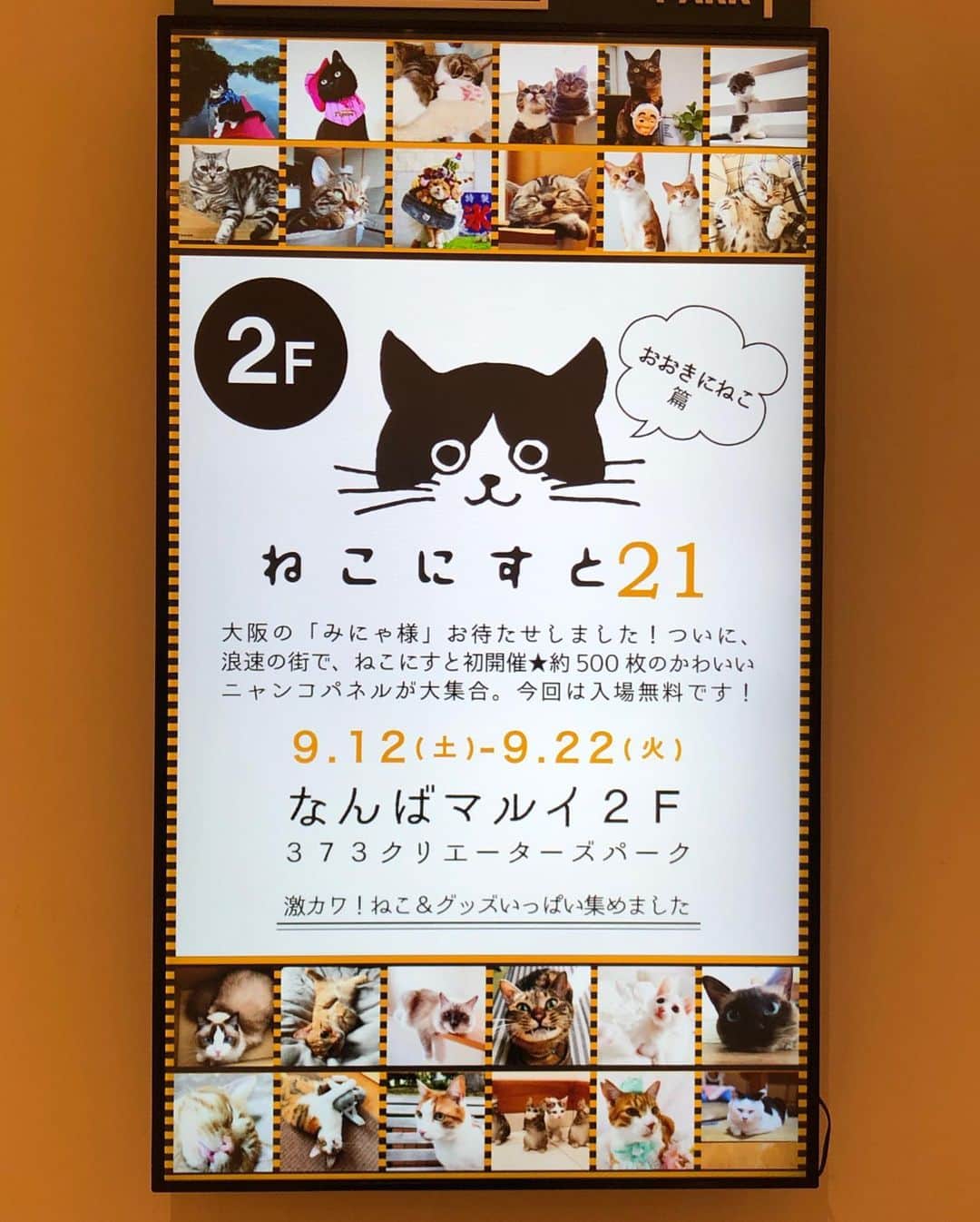 marikill66さんのインスタグラム写真 - (marikill66Instagram)「✼ 久々 ねこにすと🐱 白茶のパネルを展示していただきました✨ * 最近はパネルに装飾するのが流行ってる？ようで 私は何もしなかったけど😹 どなたさんかシールを貼ってくださった方 ありがとうございます😊 * #ねこにすと21 #ねこにすと21なんばマルイ #ねこにすと21大阪なんば * * おめでとう🎉 #のんたんhappy12thbirthday2020 一緒に参加できて嬉しかったにゃ😽 * * #catsofinstagram #instacat_meows #IGersJP #rakutenpet #nyancon01 #mmts_nekotomo #petokotolife #無敵の親バカ同盟 #関西ねこ部 #ふわもこ部 #ペコねこ部 #peppyフォト部 #スタペグラム #ねこのきもち #サンデイ #sippoストーリー #ペトラフ #今日のうちの子 #我が家のキャティーマン * #fukukohakushinchacongrats #fukukohakushinchaphoto #fukuhakucha #marikill66_0913」9月13日 20時14分 - marikill66