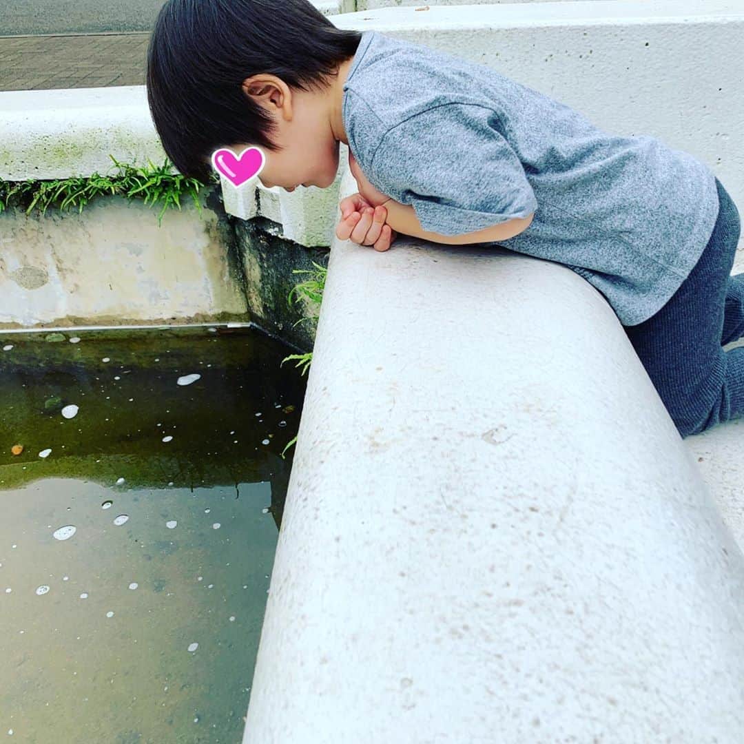 安田美沙子さんのインスタグラム写真 - (安田美沙子Instagram)「初めて1人でベビーカー＆息子の自転車の組み合わせで行動。 そして、赤ちゃんも初めてyoyoのベビーカー✨ 今まではお兄ちゃんがベビーカー、赤ちゃんは抱っこ紐だったけど、3.4時間のだっこでほんとに疲れ切ってしまうので、yoyoデビューしました。お兄ちゃんも、貸してくれた😊 万が一兄が寝たら、兄ベビーカー、弟抱っこ紐も出来るし、荷物もかけれる！帰りは車で帰ったけど、赤ちゃんの乗るベビーカーにお兄ちゃんがちゃんとくっ付いて来てくれたら安心だなぁ。 2人いると、やりくりの正解をいつもさがしています。 . . . #park #シャボン玉　#yoyo #babycar #boys #flower #pink #自転車　 #やご発見　#何トンボだろう #沢山走り回れて良かったね #公園のリールもあるのでみてね」9月14日 6時03分 - yasuda_misako