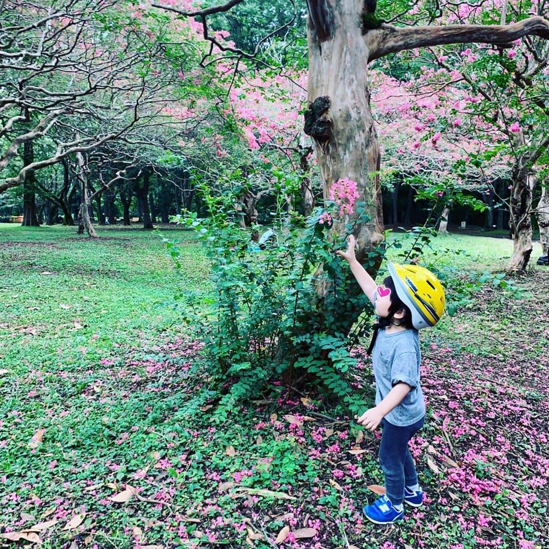 安田美沙子さんのインスタグラム写真 - (安田美沙子Instagram)「初めて1人でベビーカー＆息子の自転車の組み合わせで行動。 そして、赤ちゃんも初めてyoyoのベビーカー✨ 今まではお兄ちゃんがベビーカー、赤ちゃんは抱っこ紐だったけど、3.4時間のだっこでほんとに疲れ切ってしまうので、yoyoデビューしました。お兄ちゃんも、貸してくれた😊 万が一兄が寝たら、兄ベビーカー、弟抱っこ紐も出来るし、荷物もかけれる！帰りは車で帰ったけど、赤ちゃんの乗るベビーカーにお兄ちゃんがちゃんとくっ付いて来てくれたら安心だなぁ。 2人いると、やりくりの正解をいつもさがしています。 . . . #park #シャボン玉　#yoyo #babycar #boys #flower #pink #自転車　 #やご発見　#何トンボだろう #沢山走り回れて良かったね #公園のリールもあるのでみてね」9月14日 6時03分 - yasuda_misako