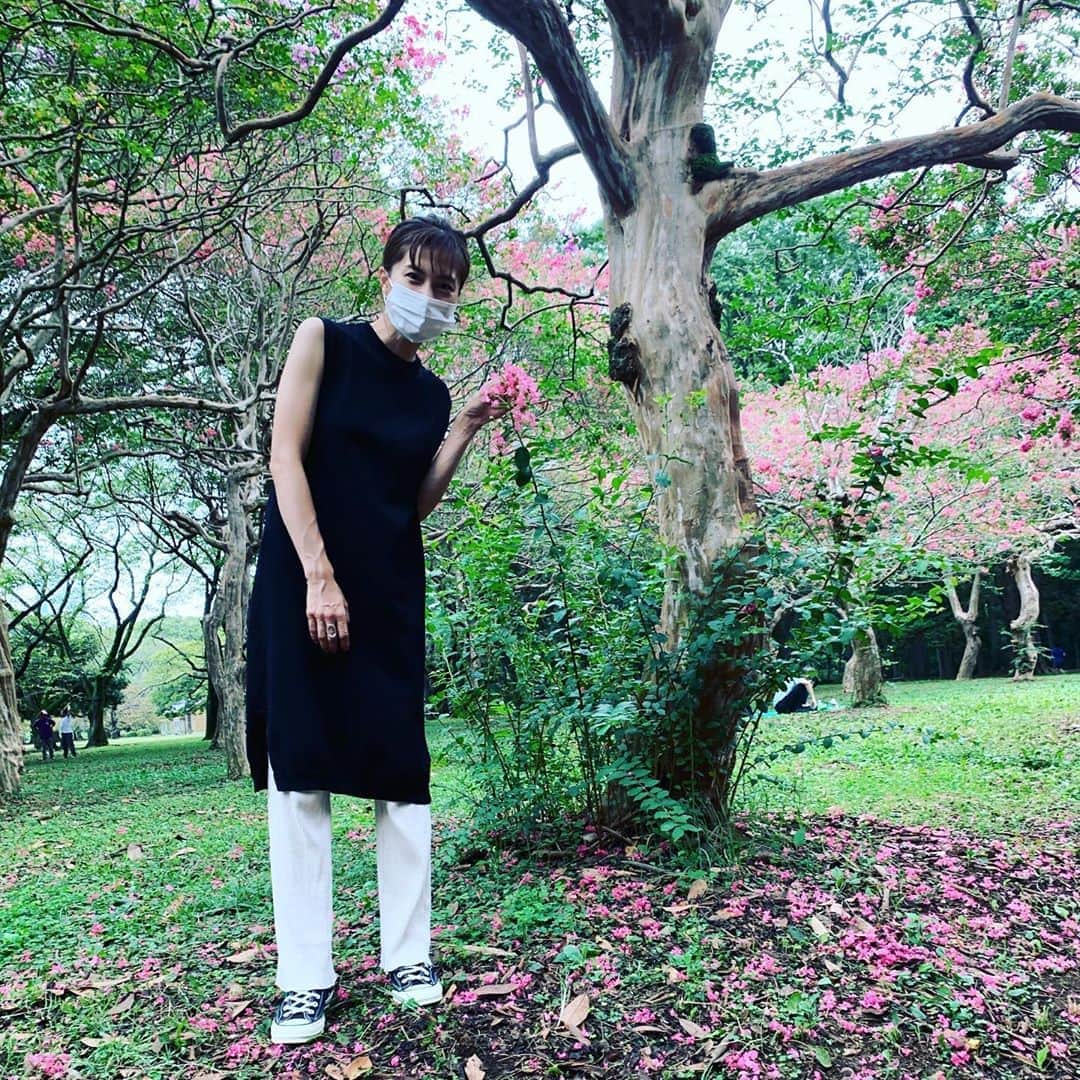 安田美沙子さんのインスタグラム写真 - (安田美沙子Instagram)「初めて1人でベビーカー＆息子の自転車の組み合わせで行動。 そして、赤ちゃんも初めてyoyoのベビーカー✨ 今まではお兄ちゃんがベビーカー、赤ちゃんは抱っこ紐だったけど、3.4時間のだっこでほんとに疲れ切ってしまうので、yoyoデビューしました。お兄ちゃんも、貸してくれた😊 万が一兄が寝たら、兄ベビーカー、弟抱っこ紐も出来るし、荷物もかけれる！帰りは車で帰ったけど、赤ちゃんの乗るベビーカーにお兄ちゃんがちゃんとくっ付いて来てくれたら安心だなぁ。 2人いると、やりくりの正解をいつもさがしています。 . . . #park #シャボン玉　#yoyo #babycar #boys #flower #pink #自転車　 #やご発見　#何トンボだろう #沢山走り回れて良かったね #公園のリールもあるのでみてね」9月14日 6時03分 - yasuda_misako