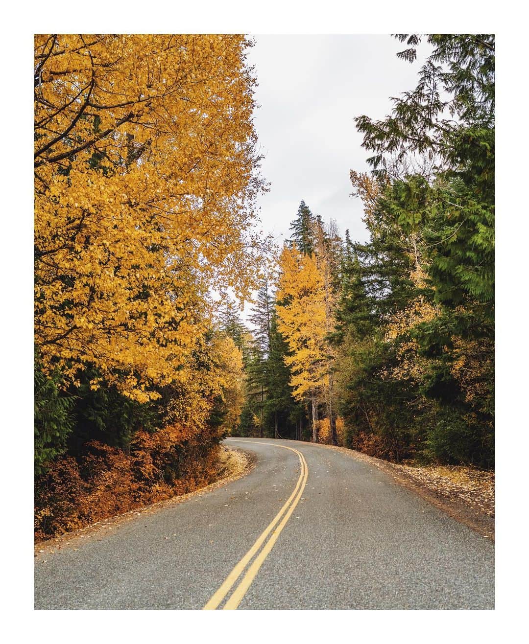 Cory Staudacherのインスタグラム：「🍁」