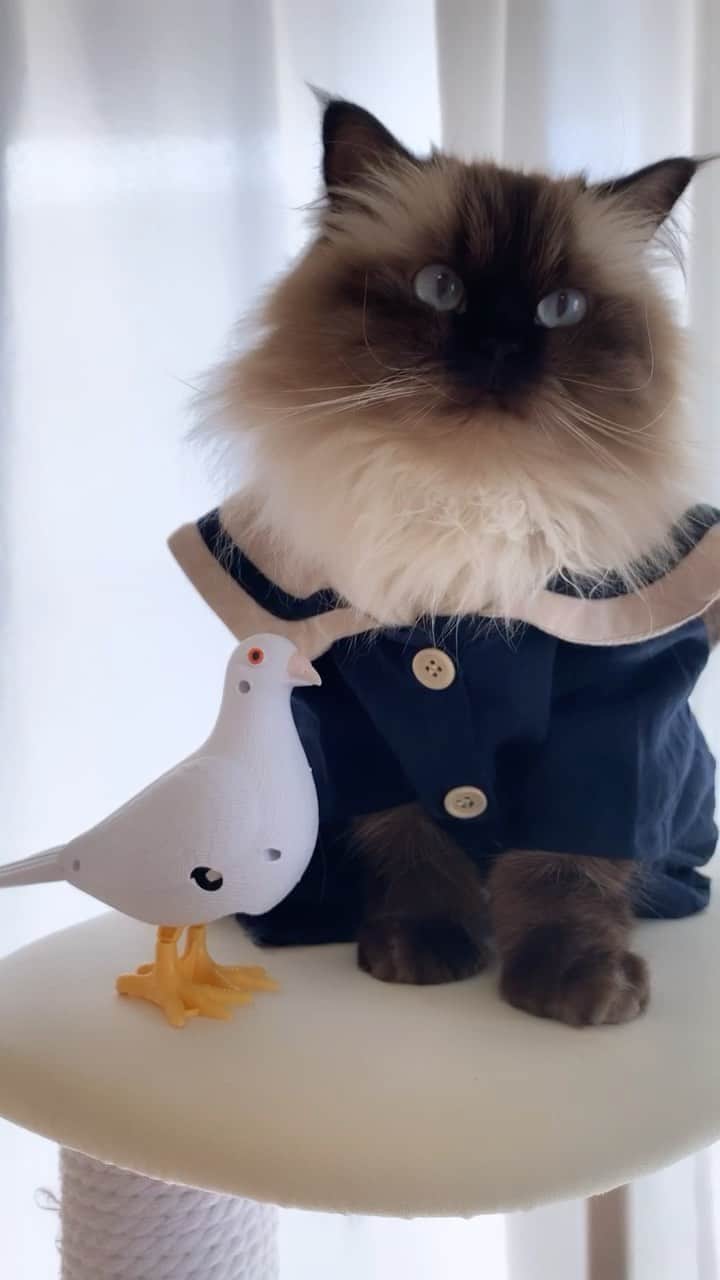 plumeのインスタグラム
