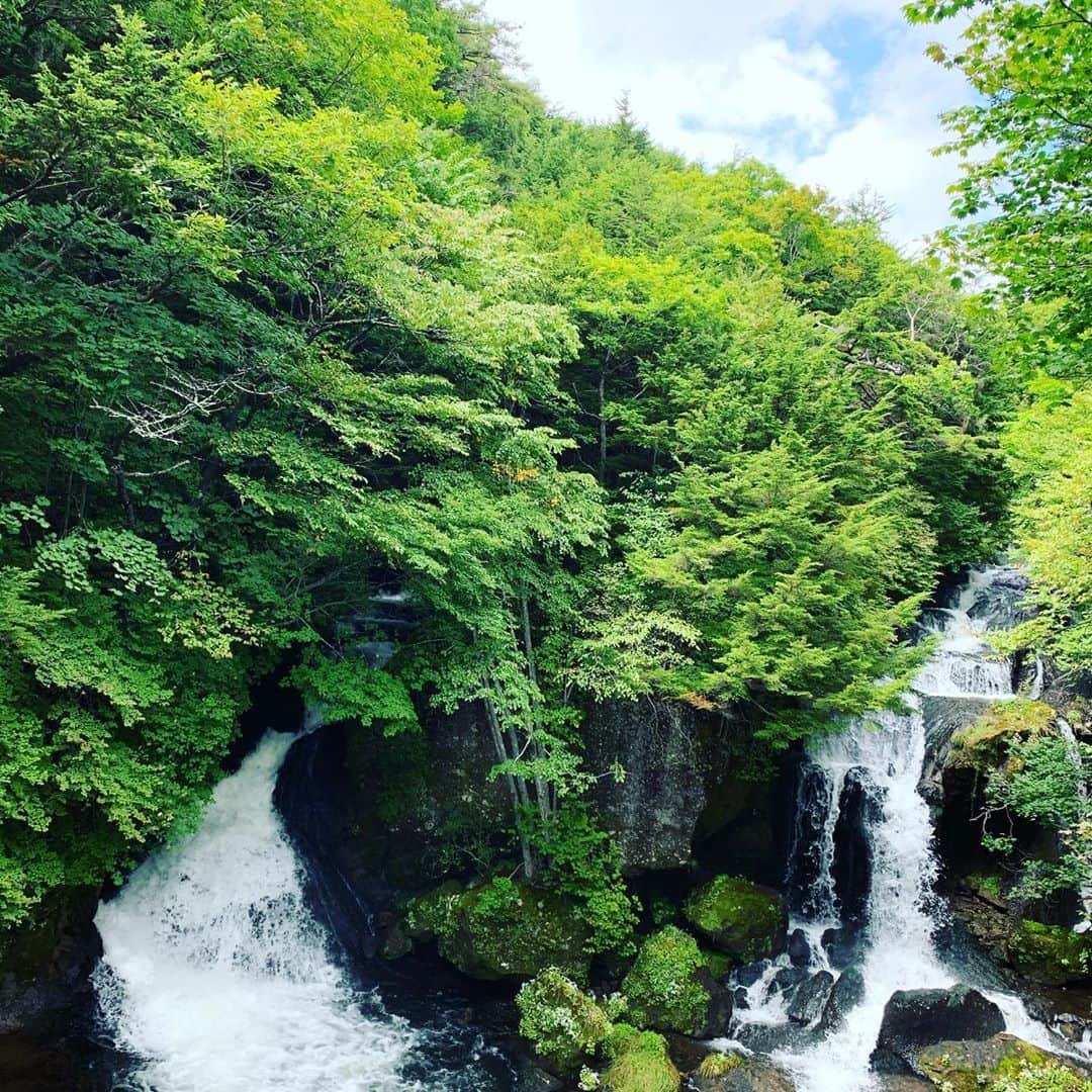 美蘭レンナさんのインスタグラム写真 - (美蘭レンナInstagram)「. . 久しぶりの東京滞在だったので、 日光方面まで足を伸ばして、  「華厳の滝」 を見に行ってきました！  観瀑台から見る滝は圧巻！！  ミストの如く滝のしぶきと マイナスイオンをたっぷり浴びました😌✨✨  そのあとは「竜頭の滝」 「湯滝」 も見学しに行って、 奥日光三名瀑、全クリア😆✨💕  久しぶりに豊かな自然と 美しい山々の森の緑の中で過ごす事が出来たので、 エネルギーチャージ出来ました☺️☺️  日光、素晴らしい場所😊✨✨ また訪れたいな❤️  #日本#日光#奥日光#華厳の滝#竜頭の滝#湯滝#三名瀑#滝めぐり#観光#名所#制覇#遅めの夏休み#紅葉#自然#森#緑#森林浴#マイナスイオン#ミスト#エネルギー#チャージ」9月13日 22時37分 - renna_miran33