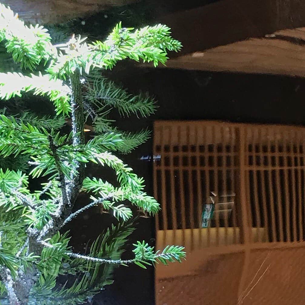 安藤成子のインスタグラム：「我ながらいい店出来たなと✨ ・ 代官山楚々 @sosodaikanyama  . 恵比寿　そそそ @somensososo  ． 五島セントラルキッチン　素 @so_goto2019  ・ そして❤️ ・ 和菓子楚々 @wagashisoso  ・ そうめん　そそそ　〜その先へ〜 @somensososo  ・ 全てのお店が最高傑作です😭 あとは全てのお店のクオリティをどんどん上げてお客様が満足していただけるようサービス・料理の進化スタッフみんなで切磋琢磨して行きます！ ・ これからもそうめん・和食・和菓子の新しい世界をつくるため じわじわ拡大していきます😋💋」