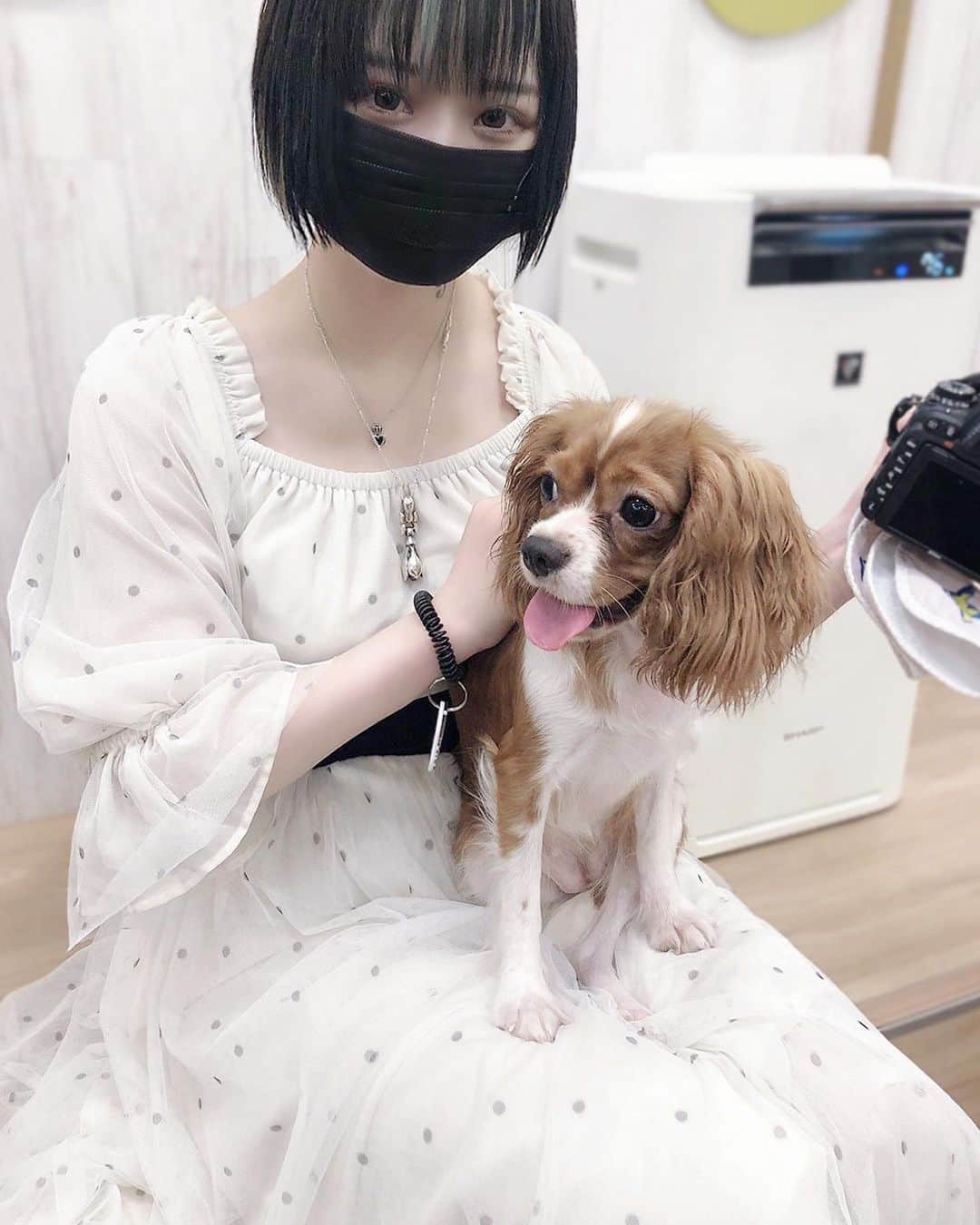 ももかわのインスタグラム：「初めての犬カフェ  清潔感あんまりないのかな？と思ってたけど、清潔感があって犬も元気いっぱいで素敵な所だったよ🐶💓  スタッフさんの対応👍🏻  #dogcafe #犬カフェ」