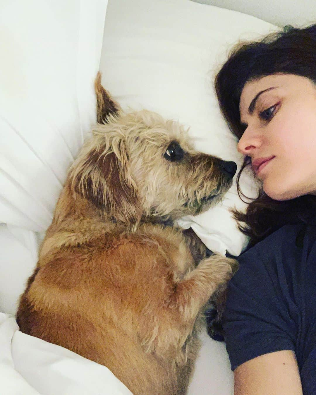 アレクサンドラ・ダダリオさんのインスタグラム写真 - (アレクサンドラ・ダダリオInstagram)9月13日 23時31分 - alexandradaddario