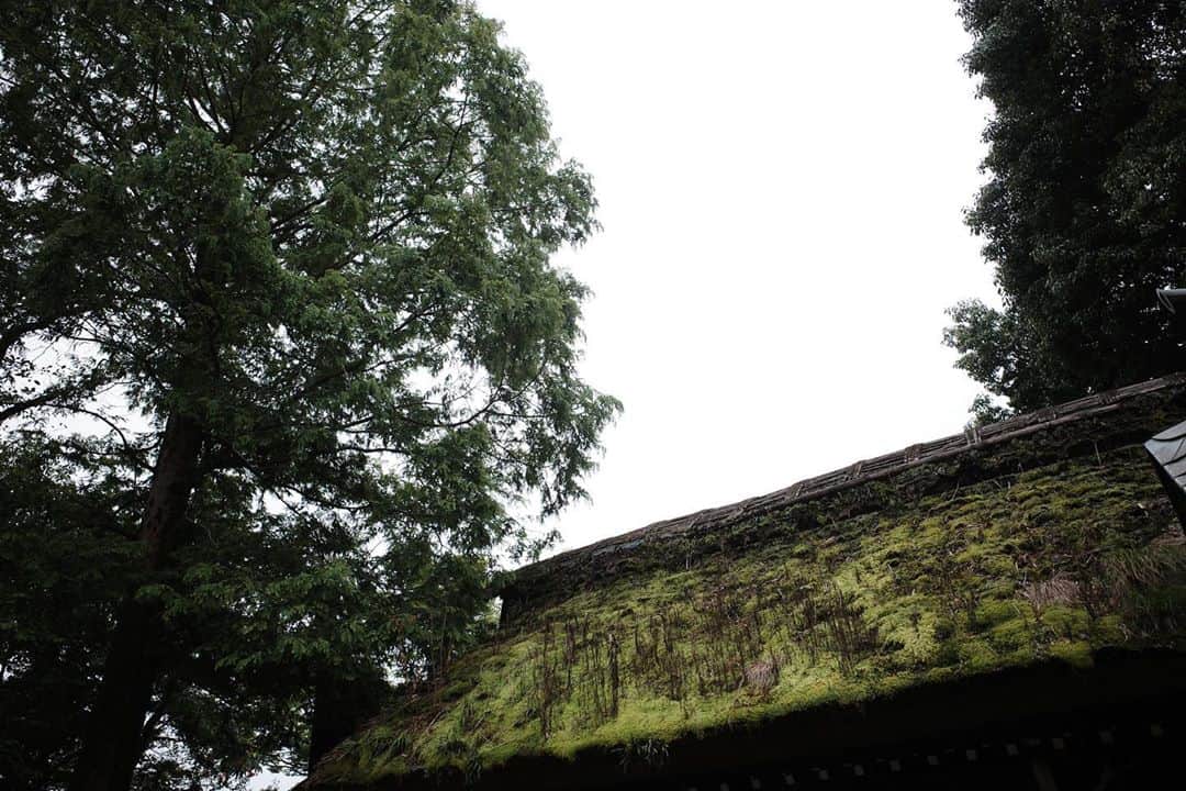 佐藤東弥さんのインスタグラム写真 - (佐藤東弥Instagram)「山門の苔も元気でした」9月13日 23時45分 - touyasato