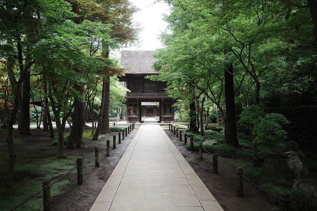 佐藤東弥のインスタグラム：「平林寺にて 30、いや40年ぶりか 全く変わっていませんでした」