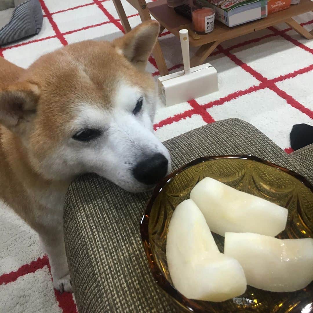 HALFBYのインスタグラム