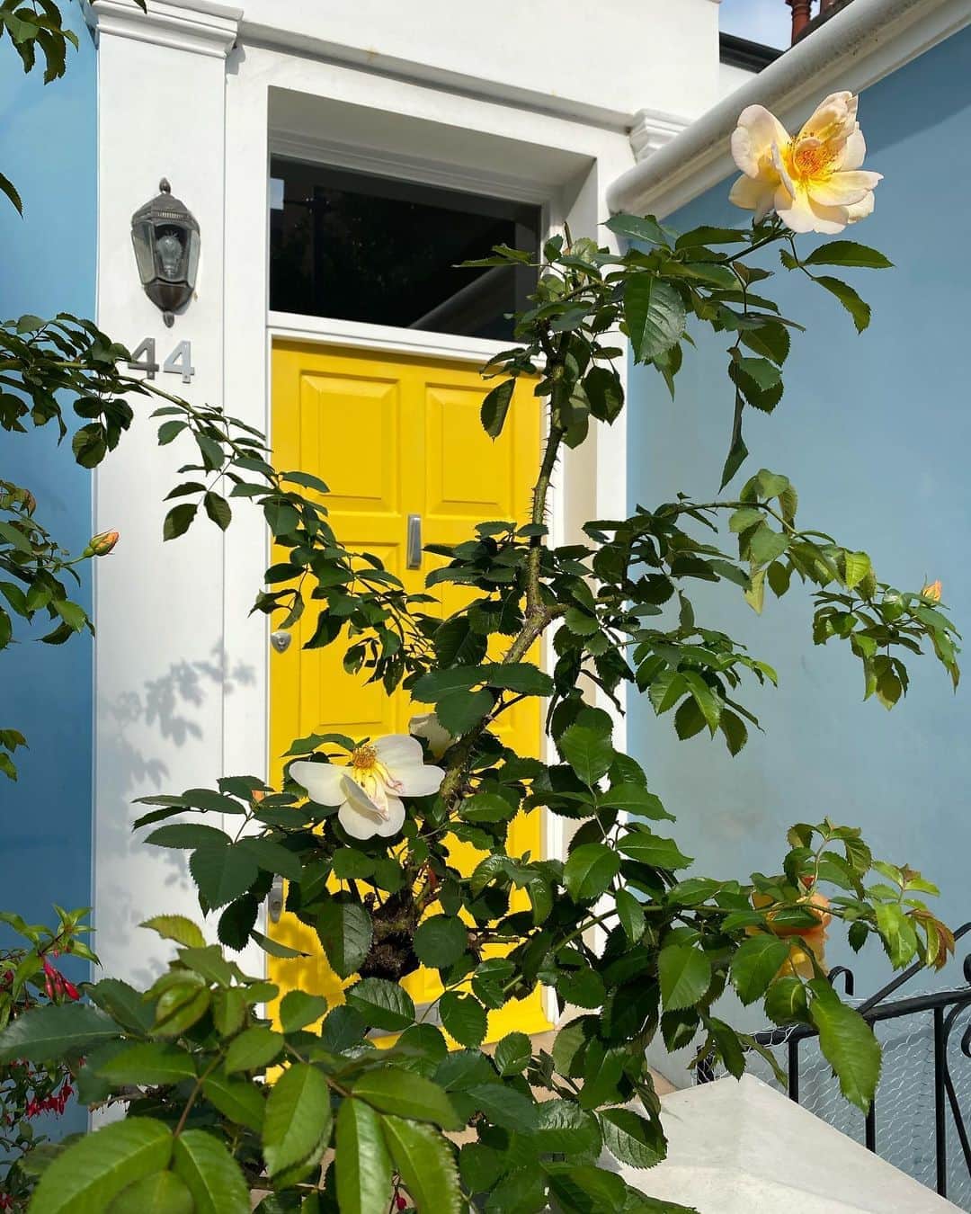 シャニーナ・シャイクのインスタグラム：「Exploring Notting Hill」