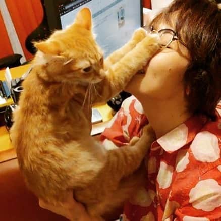 岡田屋鉄蔵のインスタグラム：「ハムさん、お腹の匂い嗅がせ…「お断りします」  思春期かな」