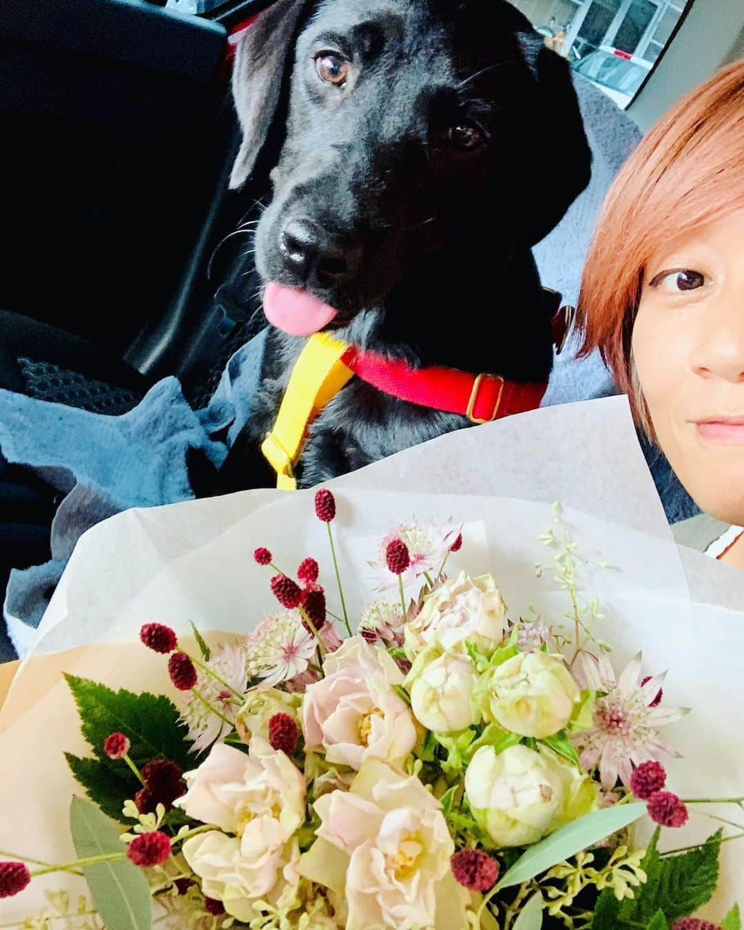 藤井惠のインスタグラム：「綺麗なお花ありがとう☺️ 良い匂い🌹」