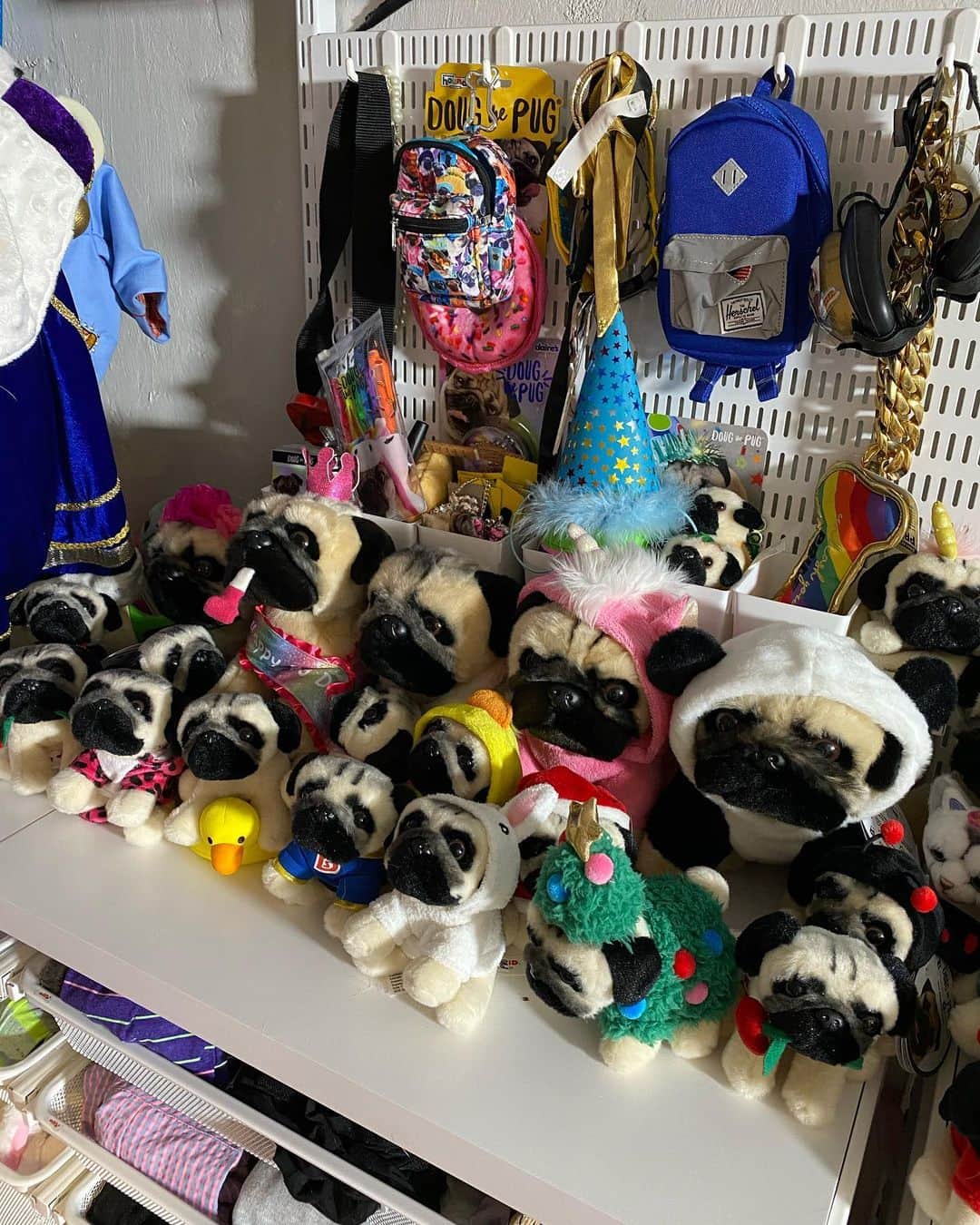 itsdougthepugさんのインスタグラム写真 - (itsdougthepugInstagram)「“When u have the most epic organized closet ever” -Doug • My friends @thehomeedit gave me the closet of my dreams!! Everything is so organized and I can easily find my robes. Go watch their new show on @netflix ❤️」9月14日 1時48分 - itsdougthepug