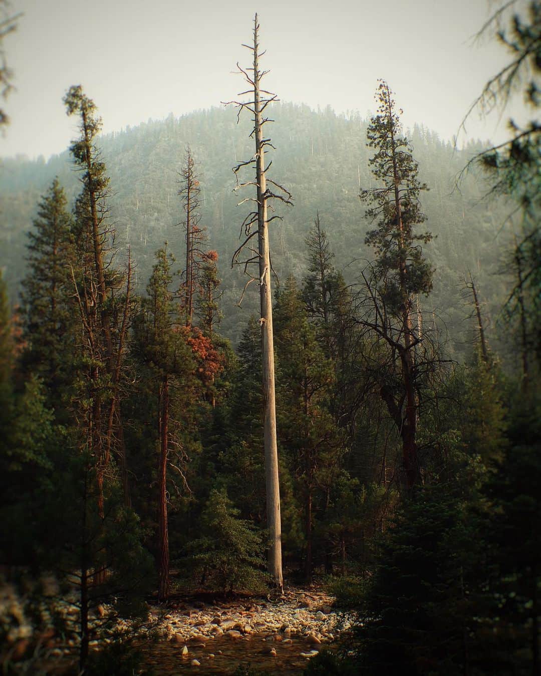 のインスタグラム：「He died. And left no question where he stood.  #usinterior #publiclands」