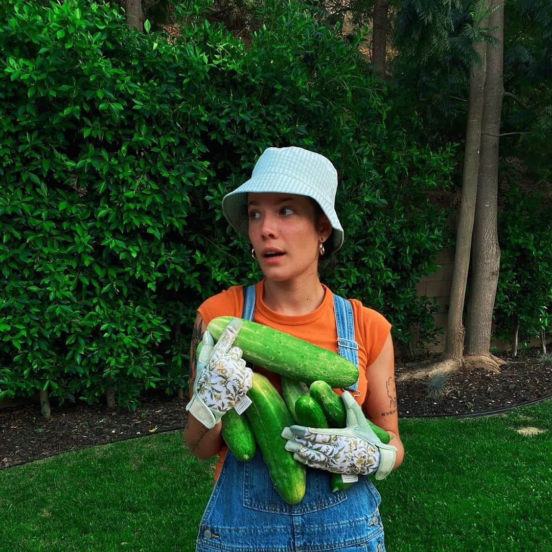 Halseyのインスタグラム：「i accidentally grew mutant cucumbers. considering selling them as a baseball bat alternative. 🥒」