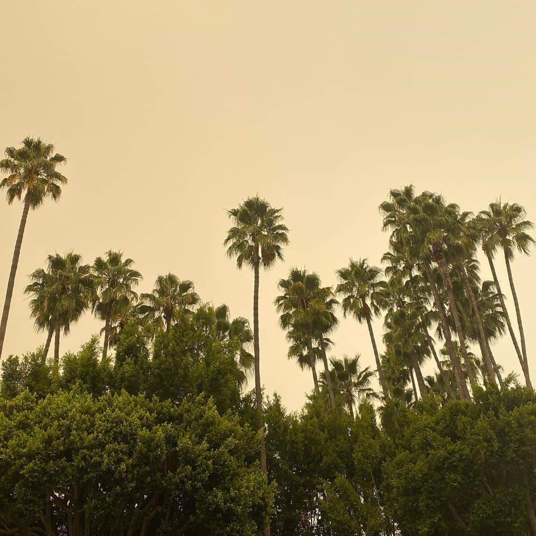 ローレン・ペルツのインスタグラム：「Filter: Global warming.」