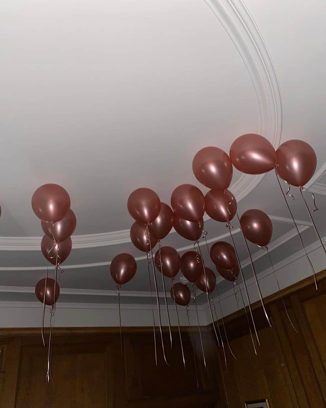 ステラ・マッカートニーさんのインスタグラム写真 - (ステラ・マッカートニーInstagram)「Happy Birthday balloons 🎈 x Stella」9月14日 3時02分 - stellamccartney