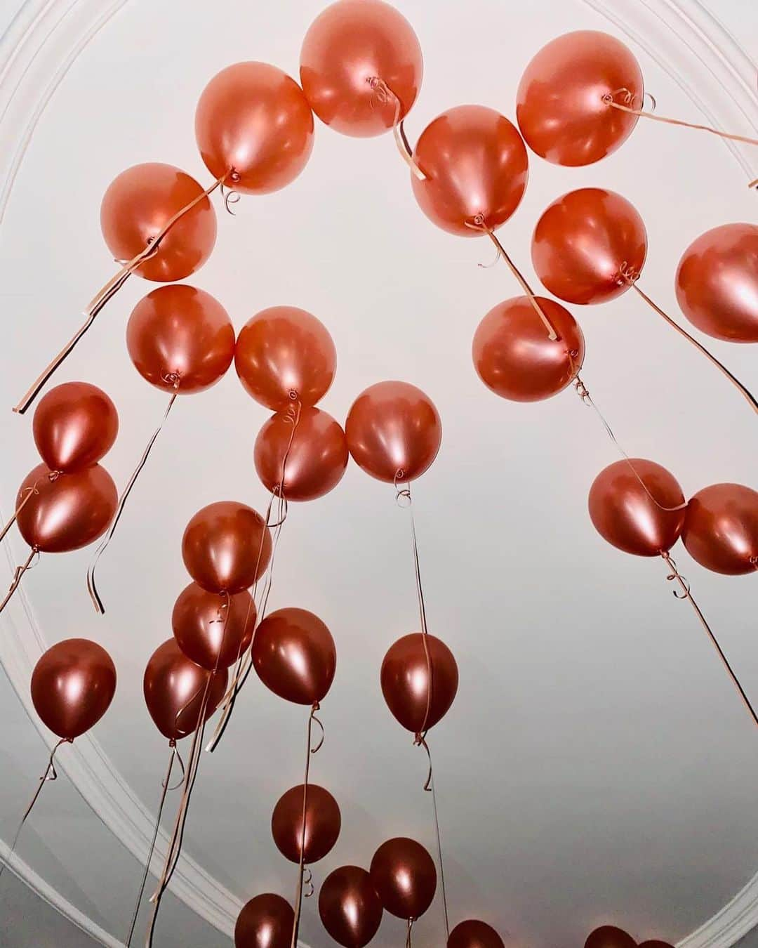 ステラ・マッカートニーさんのインスタグラム写真 - (ステラ・マッカートニーInstagram)「Happy Birthday balloons 🎈 x Stella」9月14日 3時02分 - stellamccartney