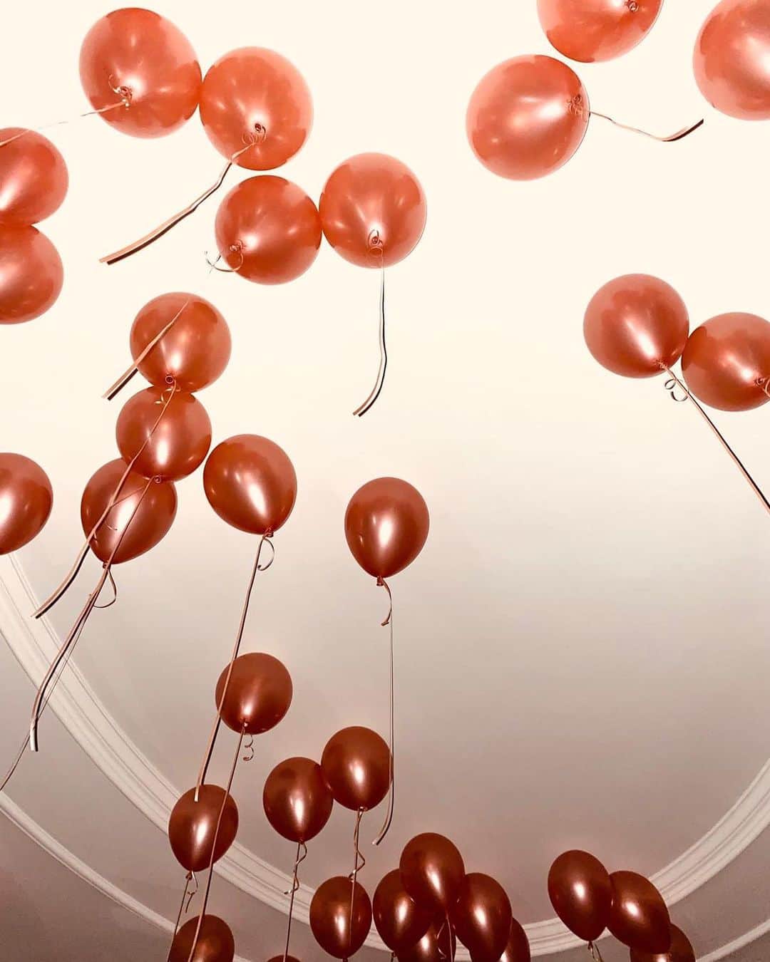 ステラ・マッカートニーさんのインスタグラム写真 - (ステラ・マッカートニーInstagram)「Happy Birthday balloons 🎈 x Stella」9月14日 3時02分 - stellamccartney