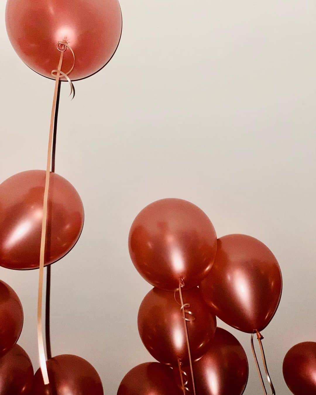 ステラ・マッカートニーさんのインスタグラム写真 - (ステラ・マッカートニーInstagram)「Happy Birthday balloons 🎈 x Stella」9月14日 3時02分 - stellamccartney