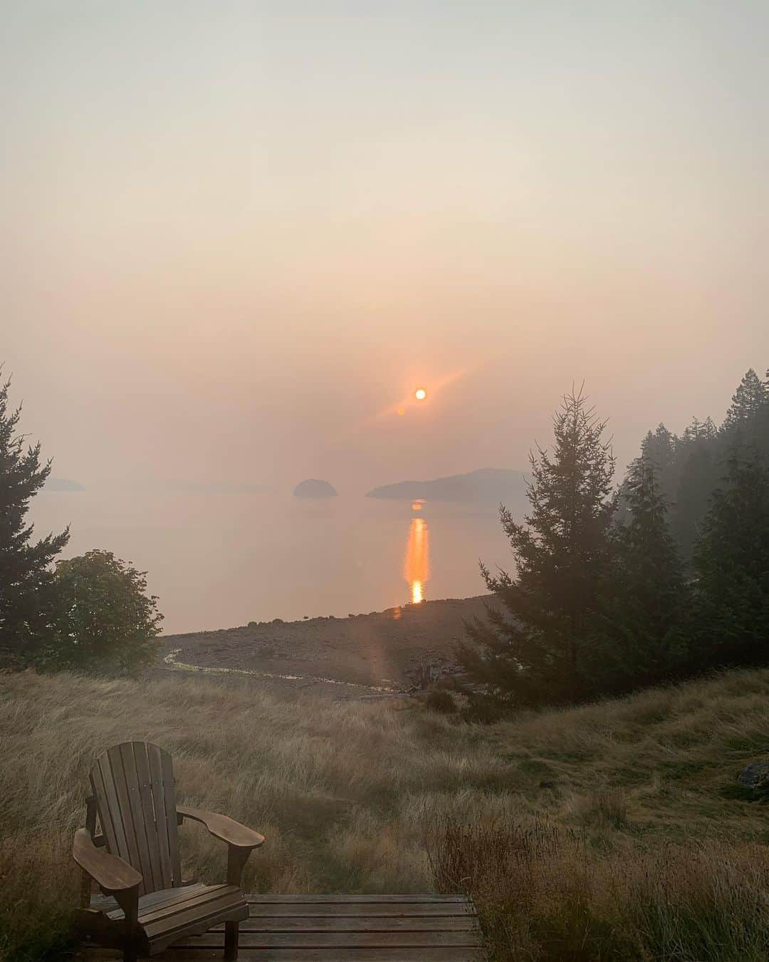 ミッキー・サムナーさんのインスタグラム写真 - (ミッキー・サムナーInstagram)「More than 200 miles north of the fires in Washington & we are engulfed in smoke. My love & support to all those effected by fires across the globe right now. Everything is connected, time is running out, we need to unite globally & vote for leaders who desire a green future for our children & not the short sighted capitalistic greed & moronic denial that is destroying our home. #vote #climatechange #greennewdeal #indigenousrights #landback #fucktrump #votebiden #bidenharris2020」9月14日 3時09分 - sumnermickey
