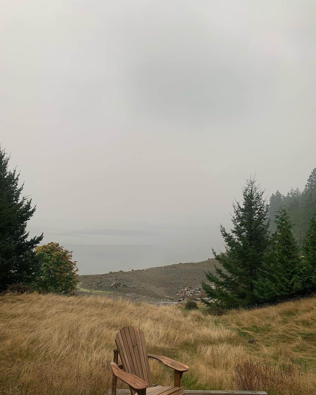 ミッキー・サムナーさんのインスタグラム写真 - (ミッキー・サムナーInstagram)「More than 200 miles north of the fires in Washington & we are engulfed in smoke. My love & support to all those effected by fires across the globe right now. Everything is connected, time is running out, we need to unite globally & vote for leaders who desire a green future for our children & not the short sighted capitalistic greed & moronic denial that is destroying our home. #vote #climatechange #greennewdeal #indigenousrights #landback #fucktrump #votebiden #bidenharris2020」9月14日 3時09分 - sumnermickey