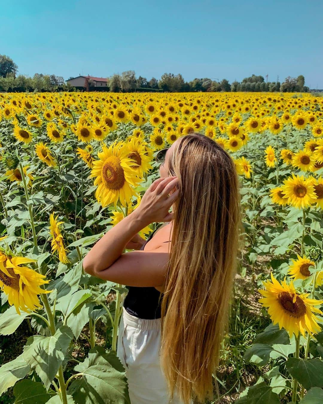 カルロッタ・フェリートさんのインスタグラム写真 - (カルロッタ・フェリートInstagram)「per la rubrica 𝕕𝕠 𝕚𝕥 𝕗𝕠𝕣 𝕥𝕙𝕖 𝕘𝕣𝕒𝕞; ho sfidato la mia paura delle vespe per scattare ciò 🌻」9月14日 3時55分 - carlyferly