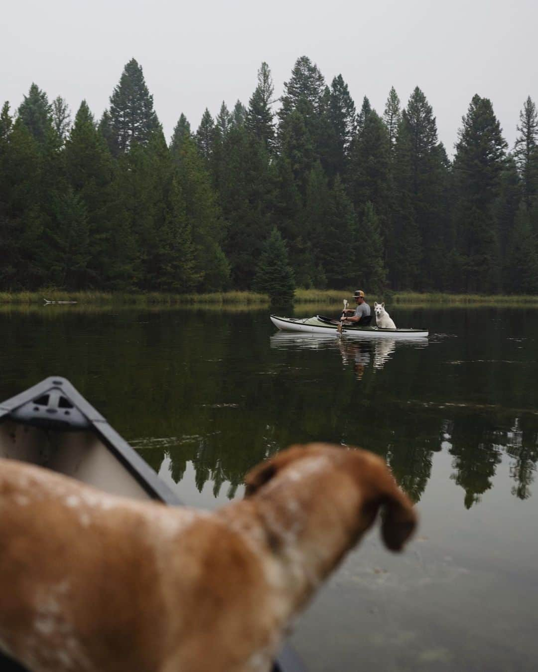 マディさんのインスタグラム写真 - (マディInstagram)「Evening paddle with my pal Eli & Es the dog w/ pointy ears. ⁣ ⁣ All the smoke for the Oregon wildfire rolled in on us yesterday, Hope y’all are staying safe ✨」9月14日 4時03分 - thiswildidea