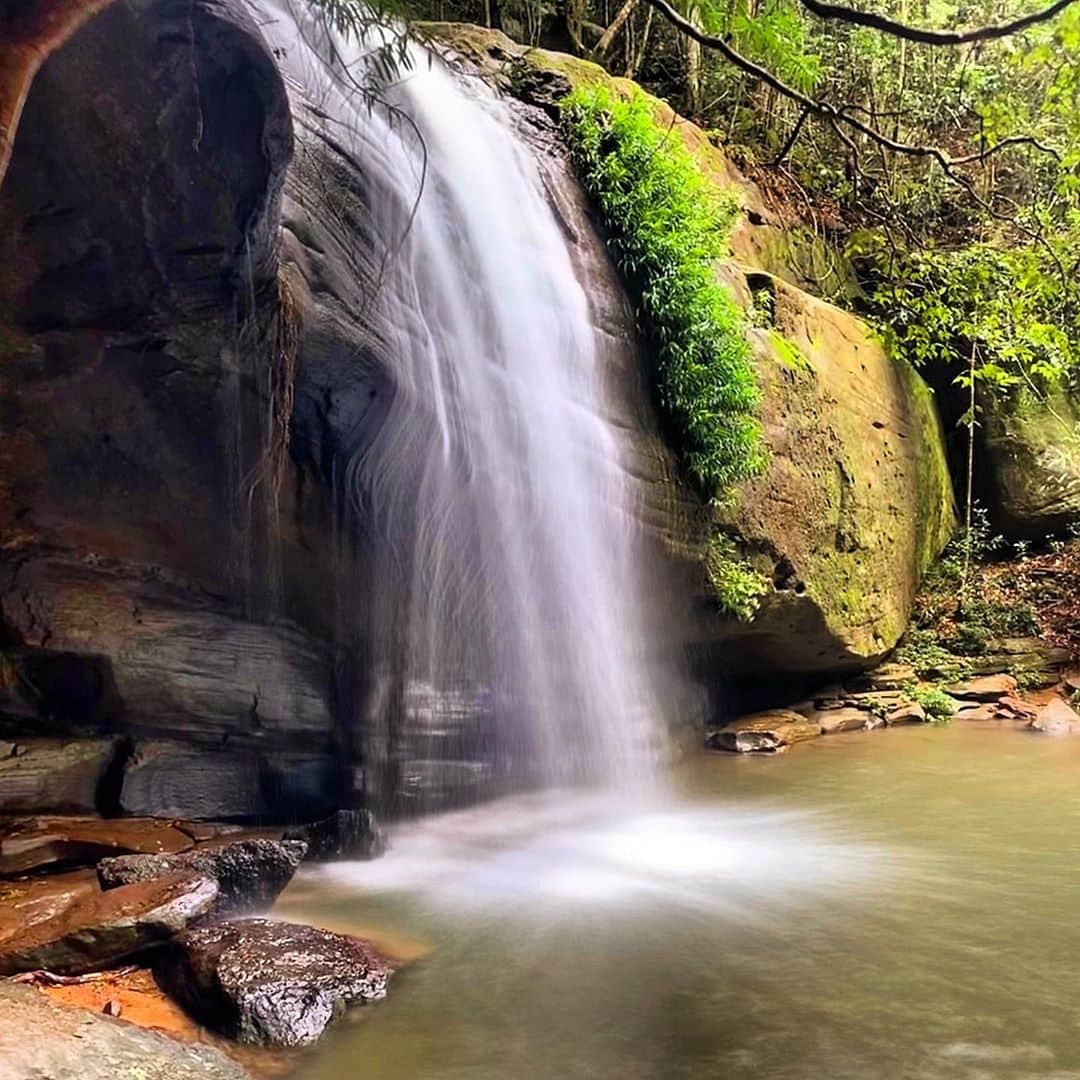シャーニ・ヴィンソンのインスタグラム：「The beauty of #nature  #magical #waterfall #serenity #forest #secretspot #caves #adventure #heavenonearth #paradise #sundayfunday」