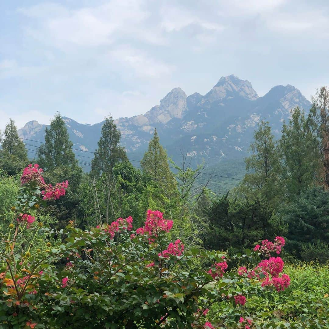 ハン・ソナさんのインスタグラム写真 - (ハン・ソナInstagram)「🦋🌿🌸🌼🌺」9月14日 15時12分 - shh_daily