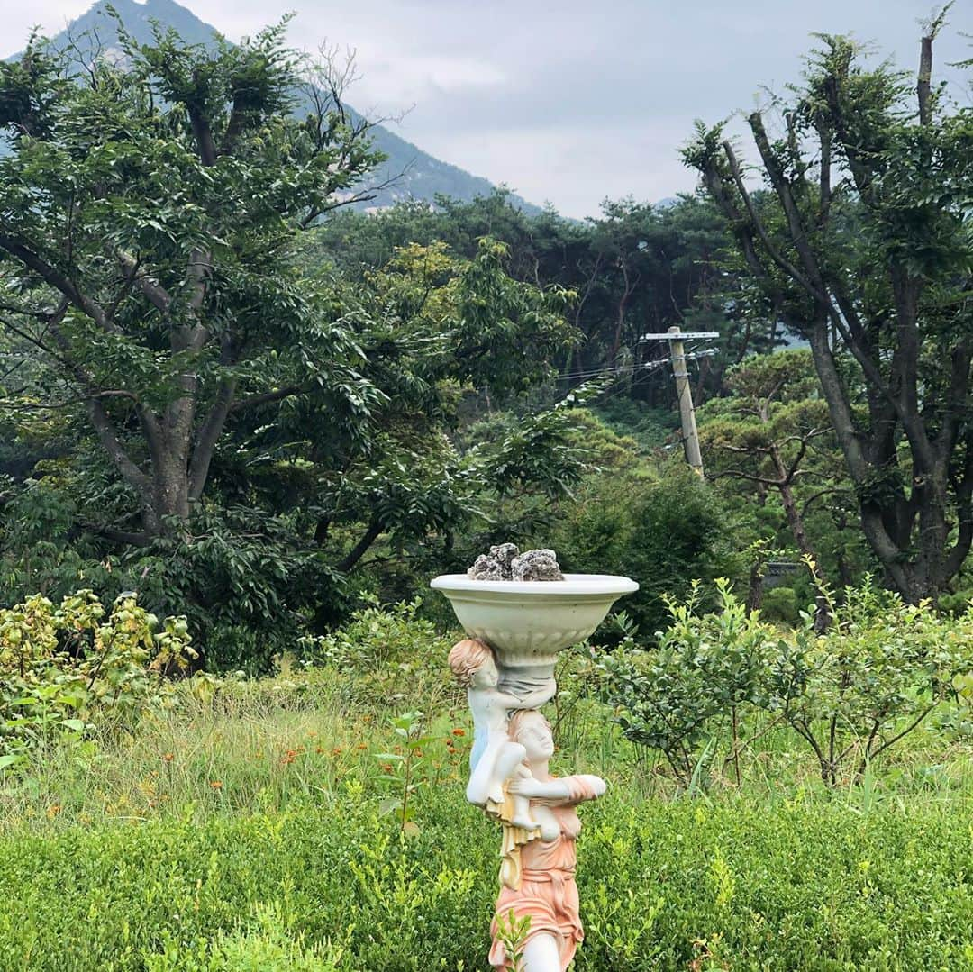 ハン・ソナさんのインスタグラム写真 - (ハン・ソナInstagram)「🦋🌿🌸🌼🌺」9月14日 15時12分 - shh_daily