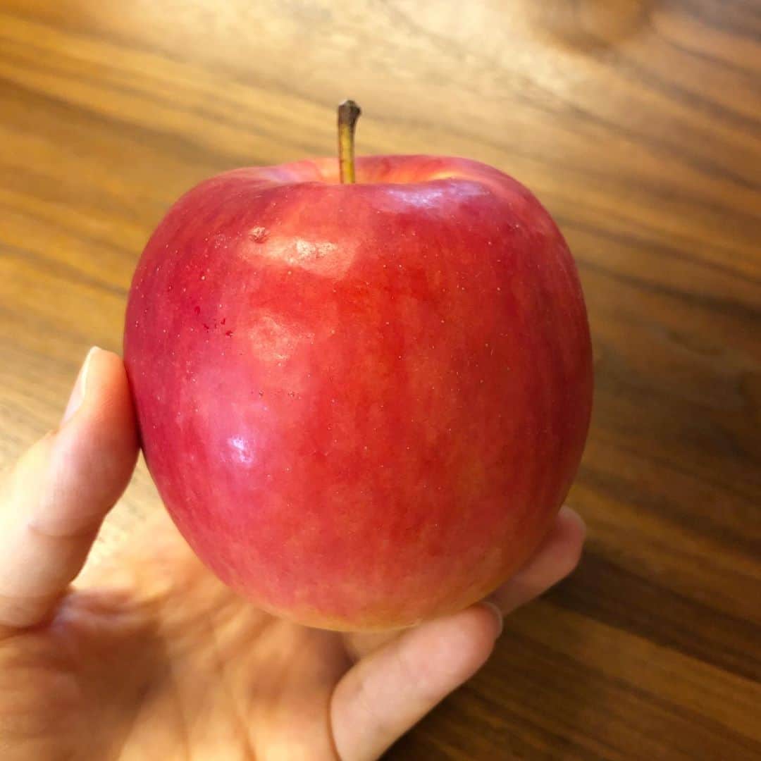 馬渕史香のインスタグラム：「かわいらしい林檎をいただいた🍎  ファーストレディって言う品種なんやって 小振りやけどキレイな赤色 デッサンで描きたくなるような、ザ・林檎  #フルーツ #秋 #実りの秋」