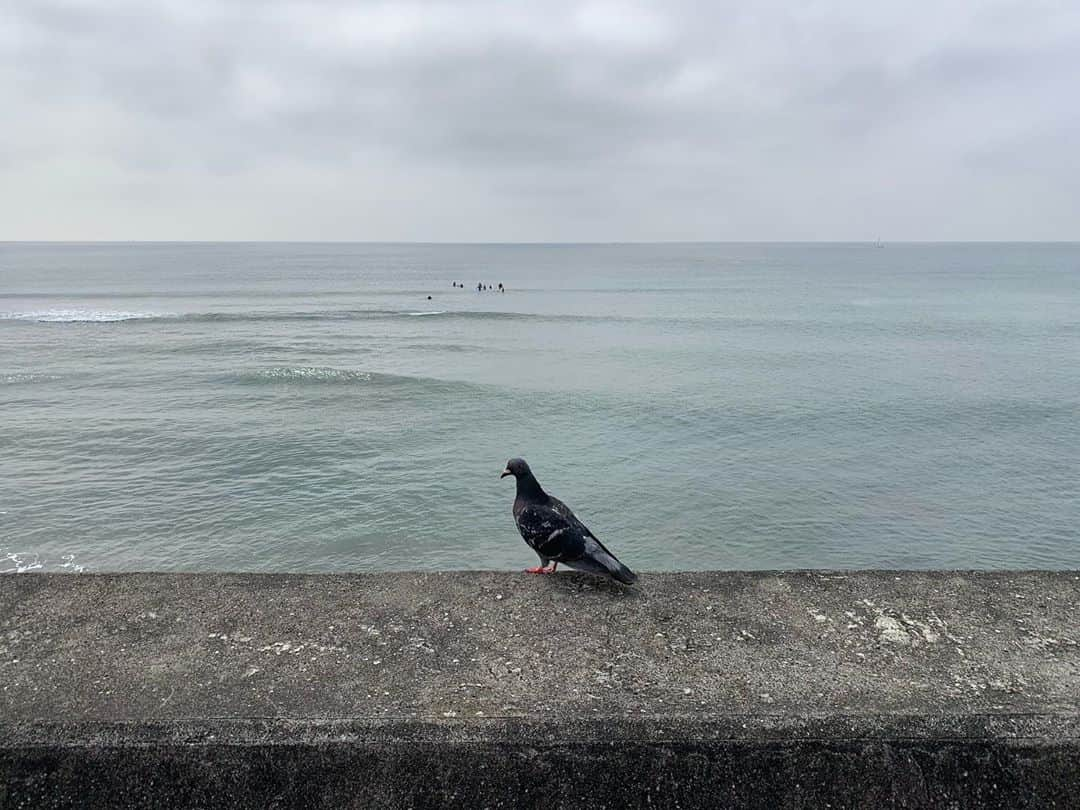 岡田マリアのインスタグラム：「海も夏色から秋色へ、少しずつ。  #海辺の暮らし🐚  #nofilter」