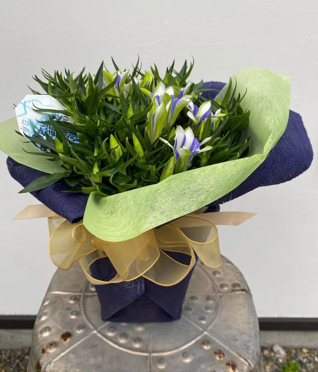 MILLE ECLAT.のグルメインスタ