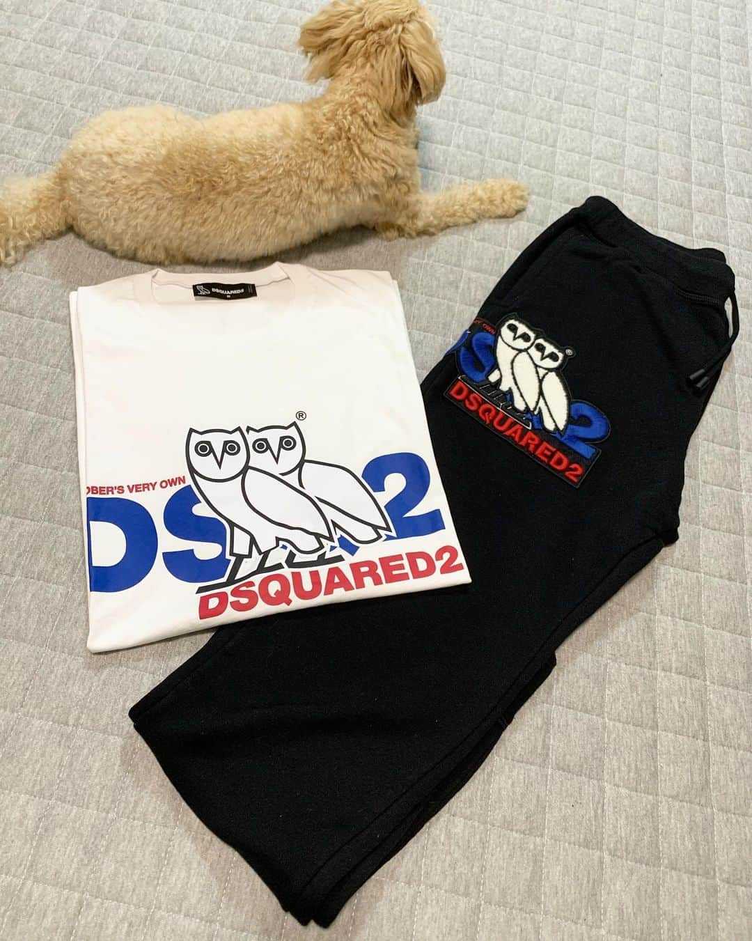 オナイウ阿道さんのインスタグラム写真 - (オナイウ阿道Instagram)「Tシャツとスウェットパンツ🤪 どっちもめちゃかっこいい🤟  #D2xOVO #dsquared2 @dsquared2」9月14日 15時56分 - onaiwu_ado