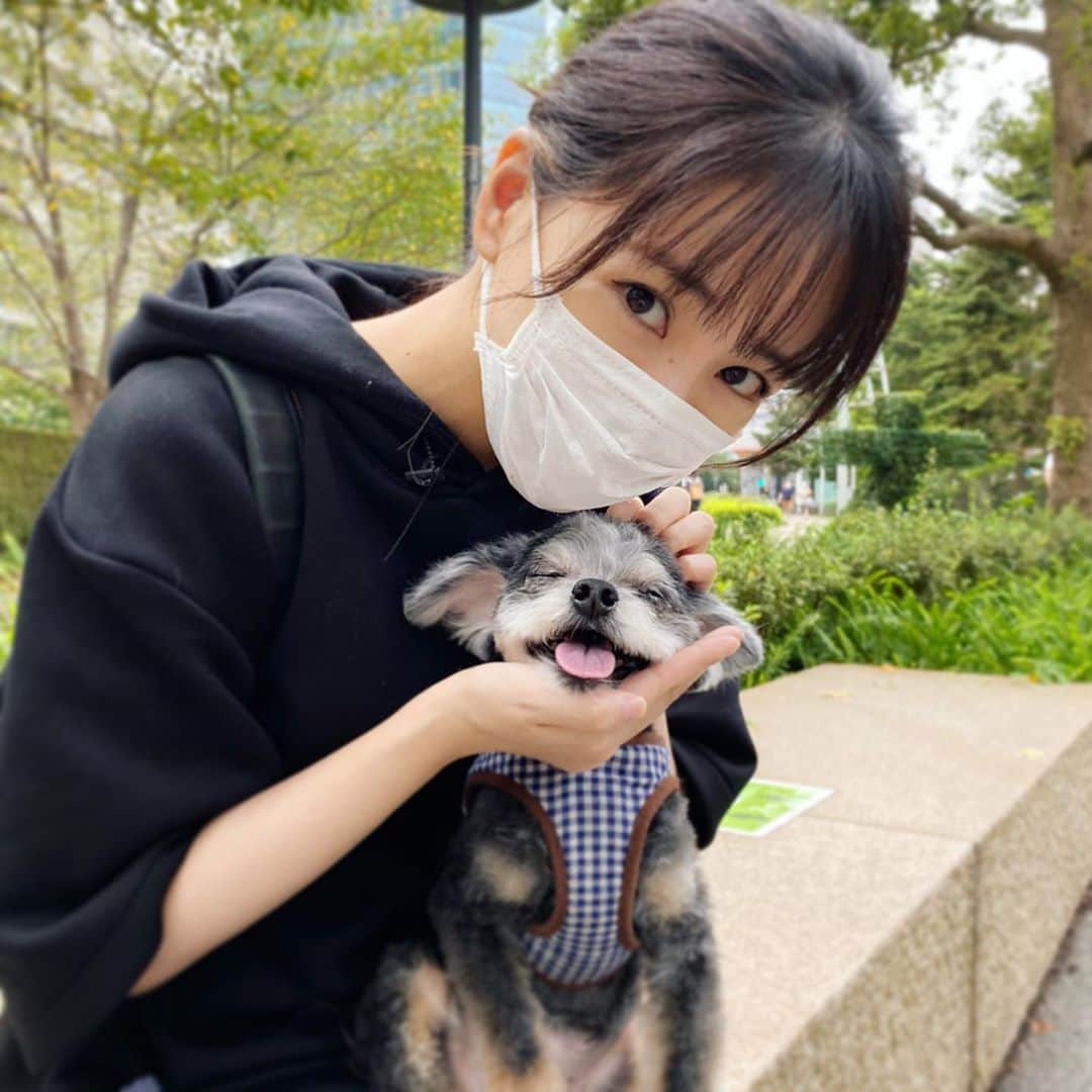 神室舞衣さんのインスタグラム写真 - (神室舞衣Instagram)「今週はトリミング週間。 昨日は花ちゃんday」9月14日 15時57分 - maikamuro.official