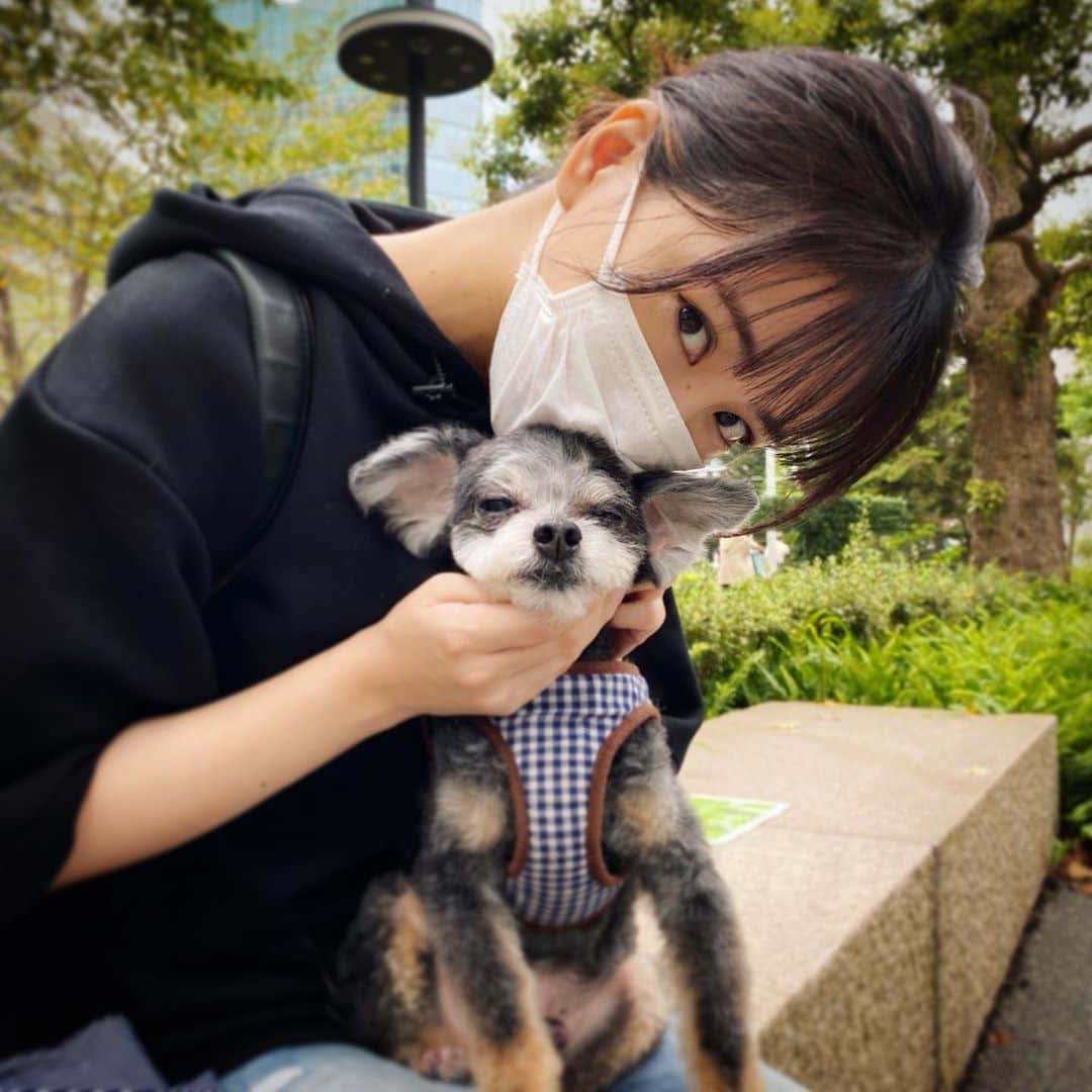 神室舞衣さんのインスタグラム写真 - (神室舞衣Instagram)「今週はトリミング週間。 昨日は花ちゃんday」9月14日 15時57分 - maikamuro.official