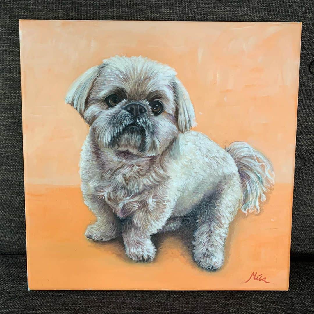 Dougie the Shih Tzuさんのインスタグラム写真 - (Dougie the Shih TzuInstagram)「We just received the most beautiful oil painting of Dougie from @petportraits_mica — can you even believe it?  We love it so much, and it captures him so well. Go to @petportraits_mica Instagram page to get more info on how you can get an oil portrait done of your favorite furry friend.  Thank you! 🧡🐶🧡」9月14日 8時21分 - dailydougie