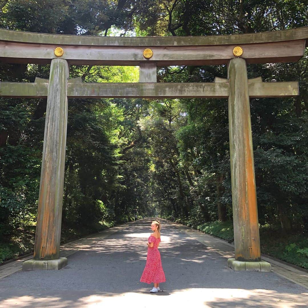 のインスタグラム：「My favorite place to enjoy a breath of fresh air🌳  近所だから、よくウォーキングしに来てる☀️」