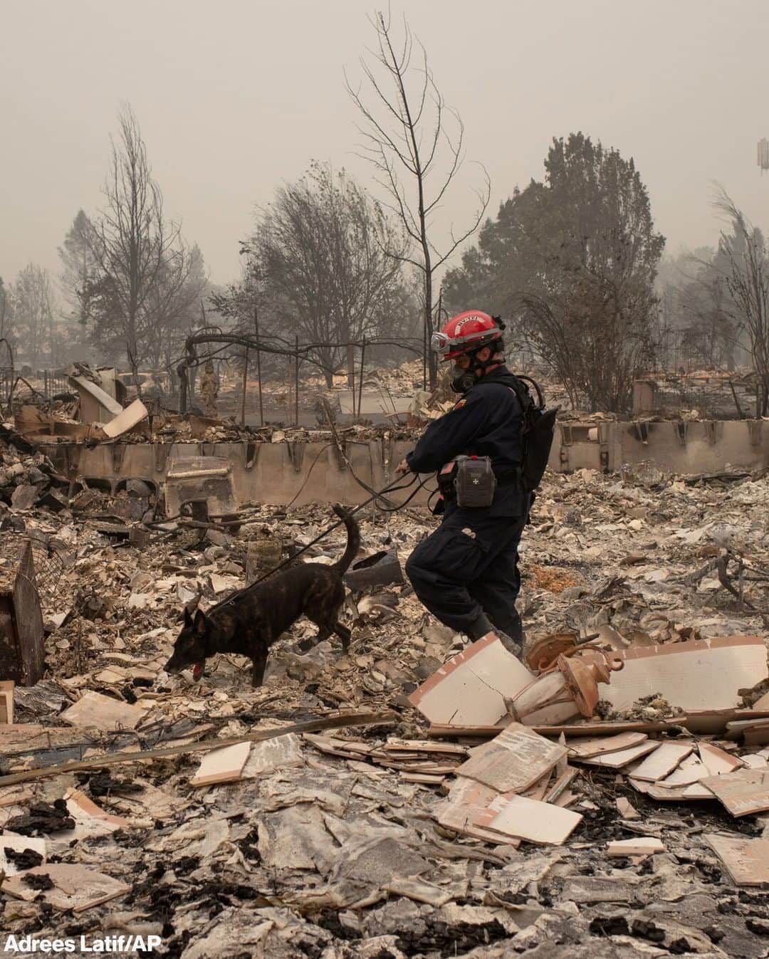 ABC Newsさんのインスタグラム写真 - (ABC NewsInstagram)「A search-and-rescue dog and handler look for victims amid the aftermath of the Almeda Fire in southern Oregon. Nearly all of the dozens of people reported missing in the area have been accounted for, authorities said over the weekend. More than a million acres have burned in the state.」9月14日 9時08分 - abcnews