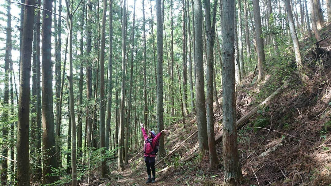 桜花さんのインスタグラム写真 - (桜花Instagram)「おはようございマウンテン🗻🌷  本日もナイスな１日にいたしましょ✨  森で元気モリモリ🍀＼(^^)／  #おはようございます  #おはようございマウンテン  #だじゃれ  #ダジャレ  #森  #モリモリ  #山  #mountain #mountains  #green  #nature  #natural」9月14日 9時31分 - mountainohka