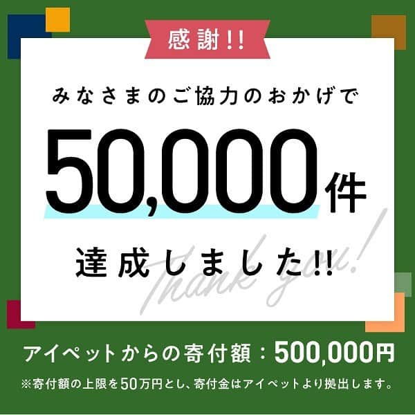 アイペット ペットスナップキャンペーンのインスタグラム