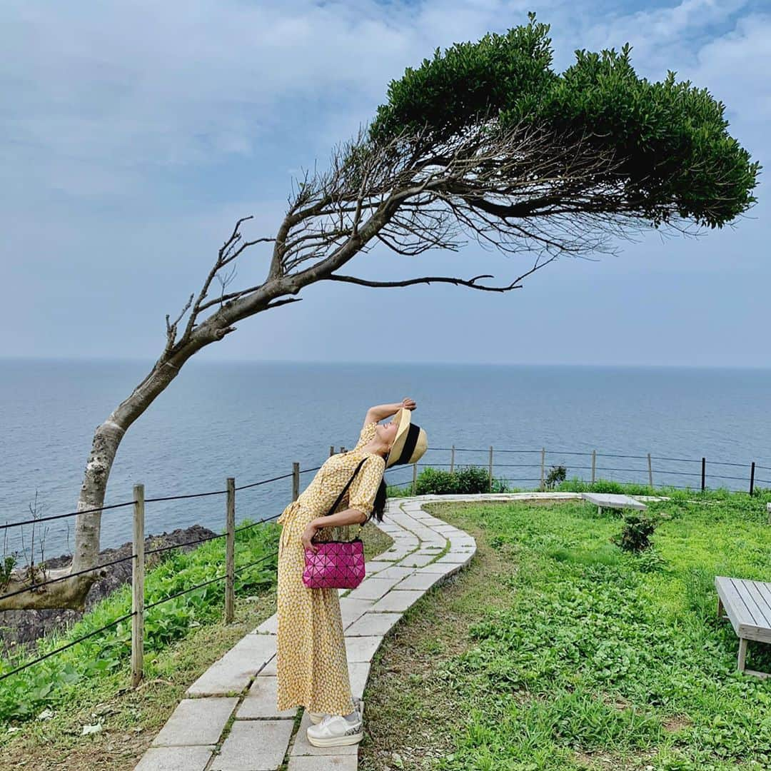 大桃美代子さんのインスタグラム写真 - (大桃美代子Instagram)「ハーフタイムツアーズ、  奥能登の旅。  海からの強風に耐える木の姿を見て感動。  景色と流された汗に涙が出そうになる。  棚田にするために何回往復したのだろうか？？と。  よーし、負けないぞ！（なんに？）  GOTOキャンペーンでお安くなるみたいです。  明日もテレビ東京のハーフタイムツアーズで奥能登の旅をご紹介します。  #奥能登#石川県#ハーフタイムツアーズ#shooting#gotoキャンペーン #」9月14日 10時05分 - miyoko_omomo