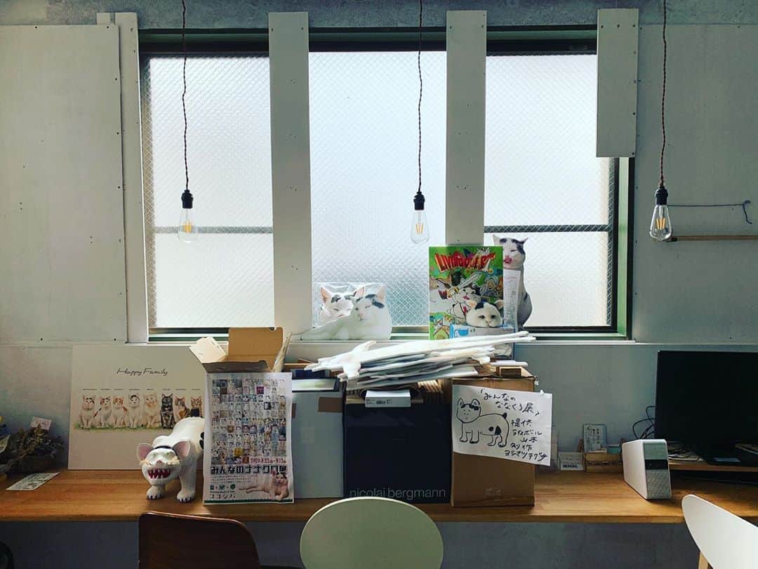 Kachimo Yoshimatsuのグルメインスタ