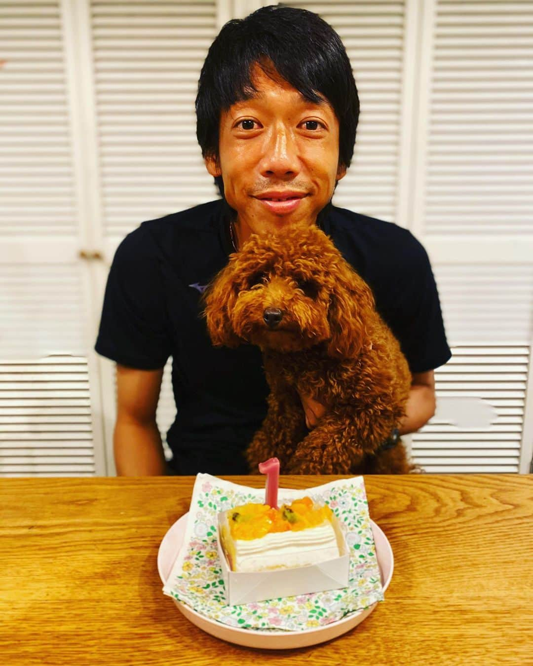 中村憲剛さんのインスタグラム写真 - (中村憲剛Instagram)「:﻿ 12日はルカの1歳の誕生日でした🎂🎉🎊🎁﻿ ルカ誕生日おめでとう😊﻿ ﻿ #大変な時期に我が家に来てくれたルカとジジ﻿ #あれから半年﻿ #すっかり我が家の一員﻿ #大人子供問わずに人間大好き﻿ #絡んで欲しすぎて椅子に座ると怒る﻿ #そして床に座ると襲いかかる　﻿ #それがとても痛い笑﻿ #基本ビビリ﻿ #のんびりなジジとは対照的﻿ #散歩へ行くと追いつくまで律儀に待つ﻿ #スタコラ行くジジと対照的﻿ #散髪できずモフモフ﻿ #愛すべきルカ﻿ #中村家に来てくれてありがとう﻿」9月14日 10時10分 - kengo19801031